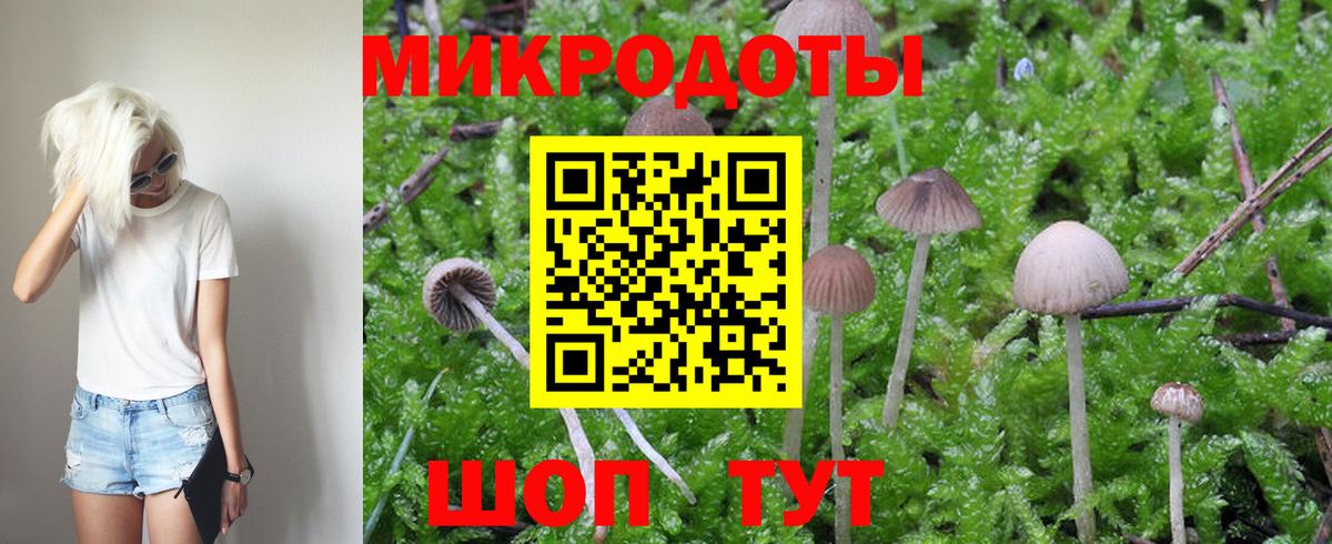 Галлюциногенные грибы Magic Shrooms  Псилоцибиновые грибы Magic Shrooms  Михайловск  Вход с VPN 